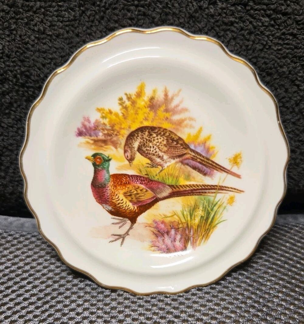 Vintage Royal Grafton Fine Bone China Decorative Bird Plate Made in England
